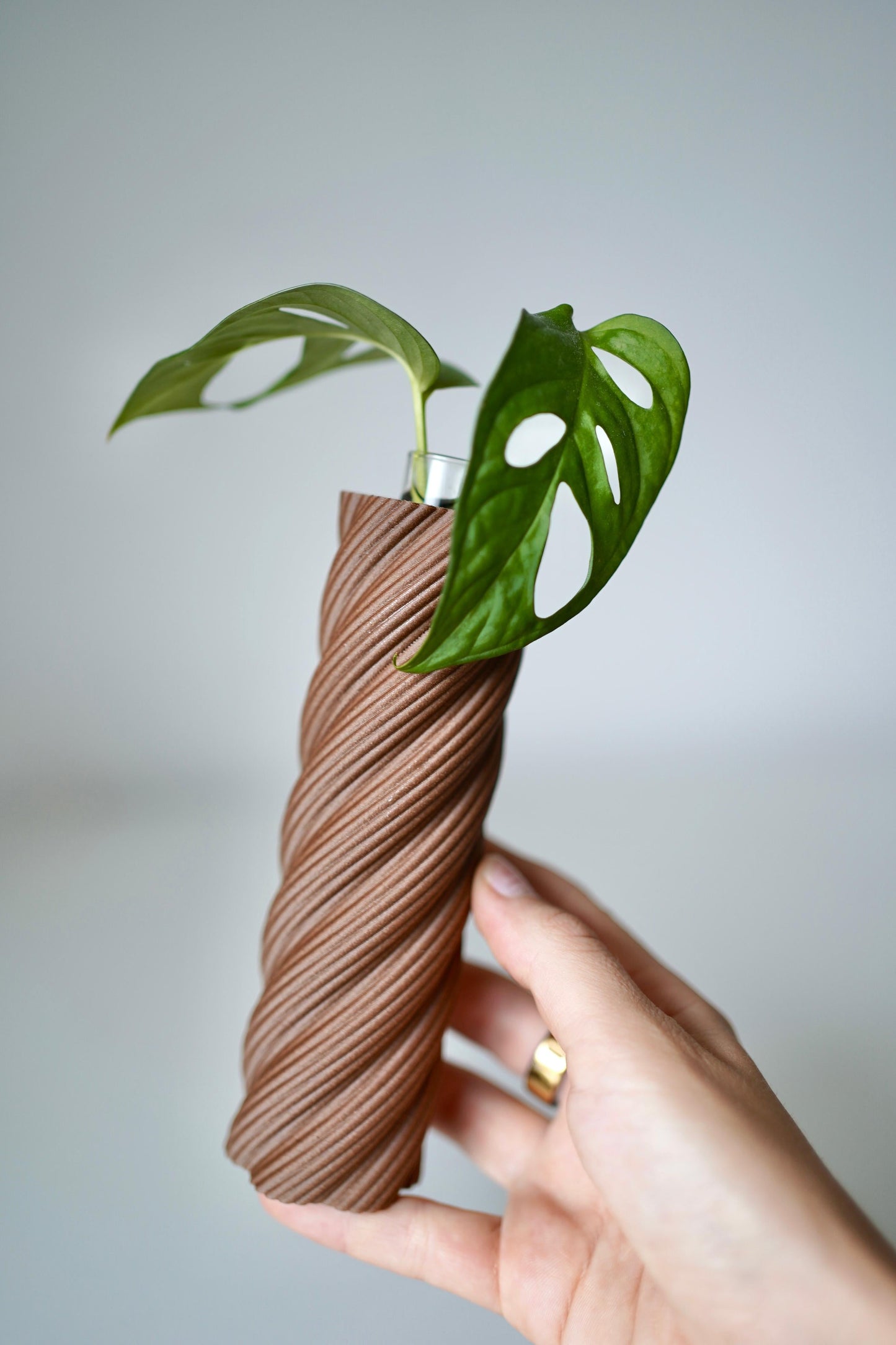 ROOTSY plant propagation tube vases