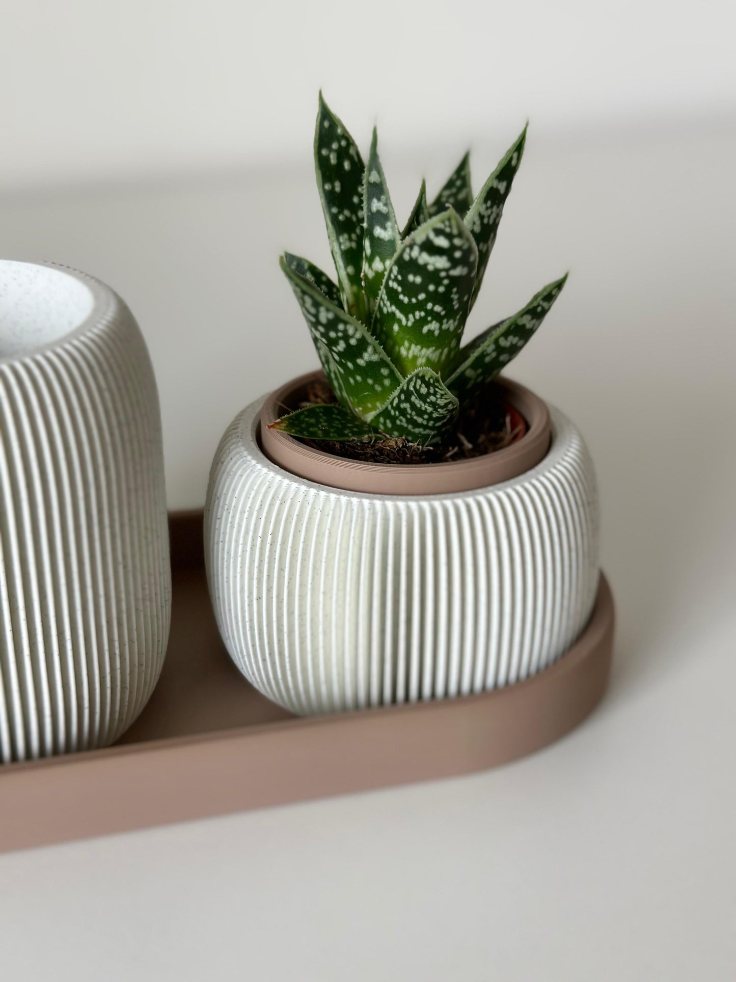 🌿STRAMEL Duo – Planter & Pen Holder Set