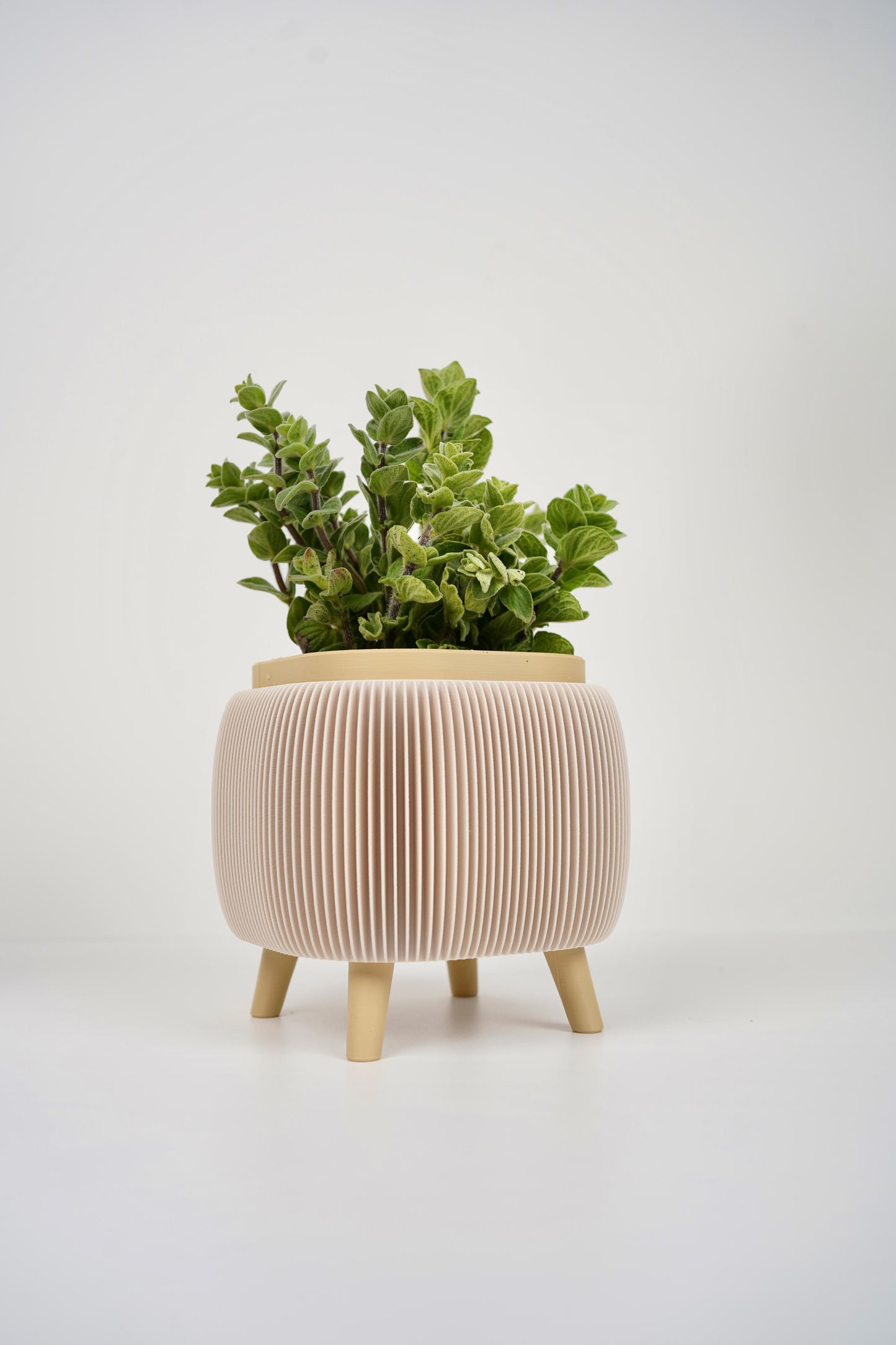 Herb planter