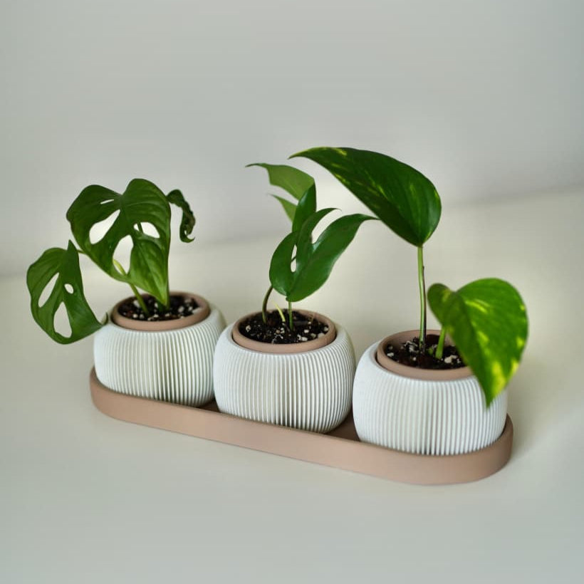 🌿TRIOLAM Trio Planter Set