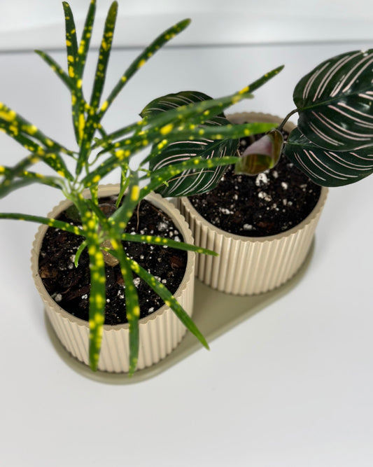 Indoor planter Twins