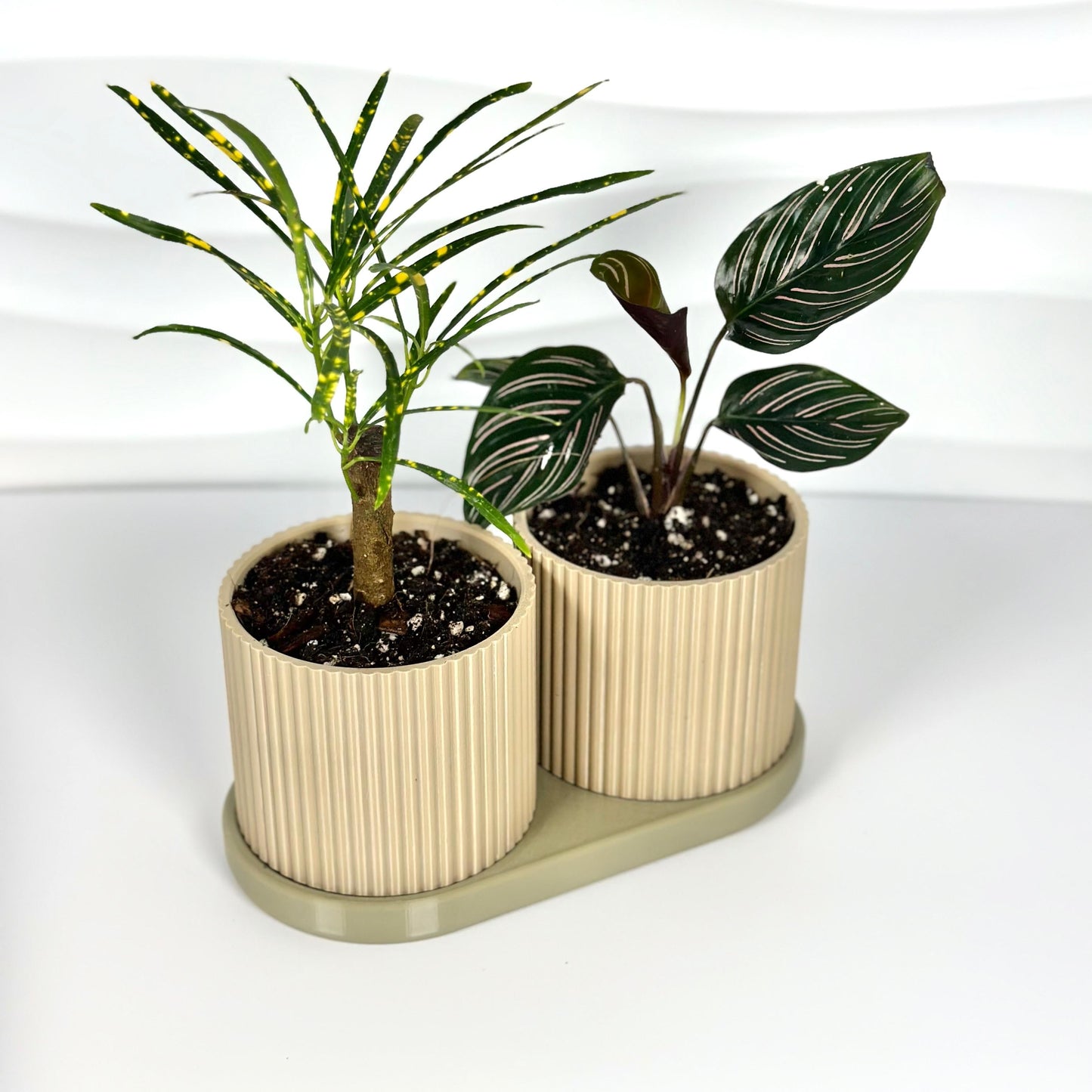 Indoor planter Twins