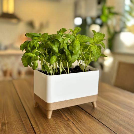 Herb planter