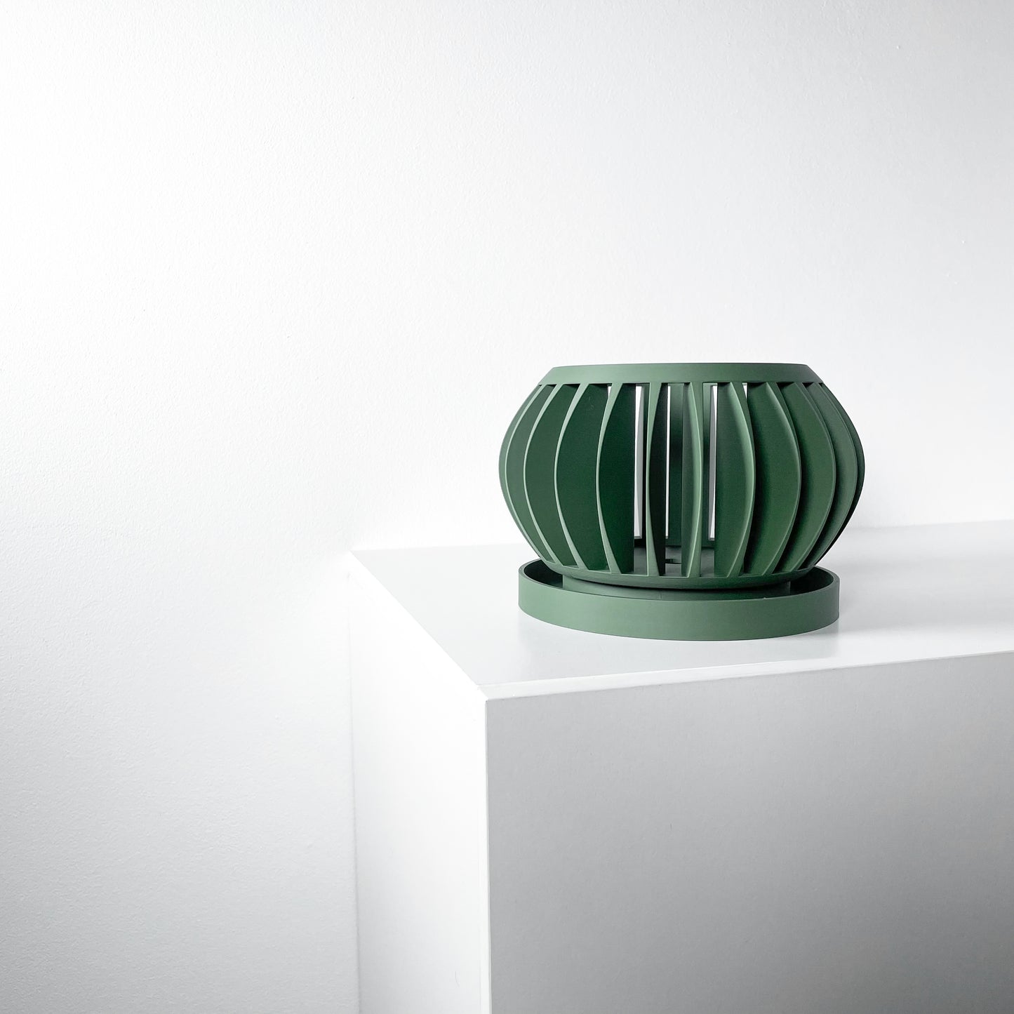 Orchid Planter The Rene