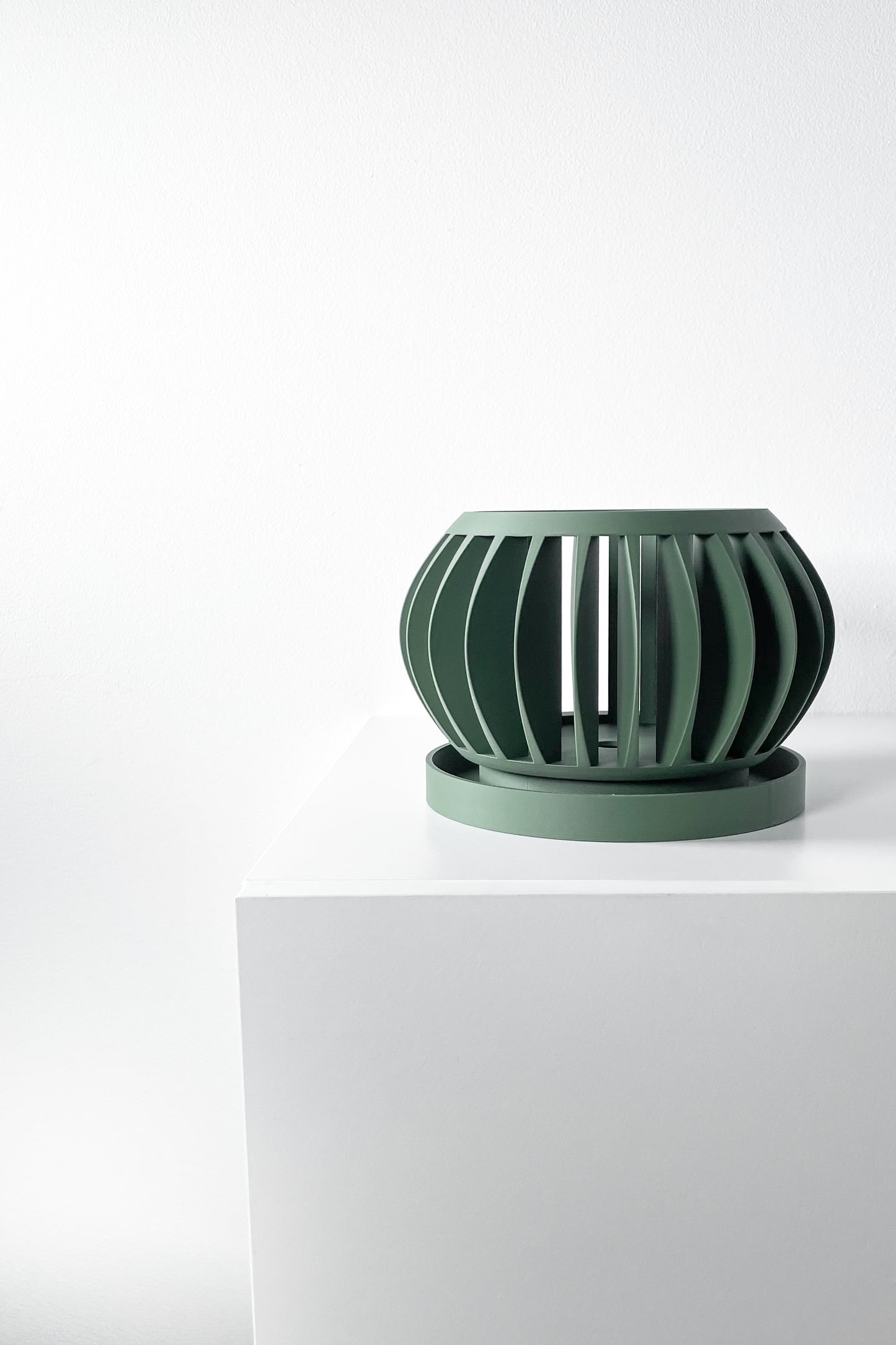 Orchid Planter The Rene