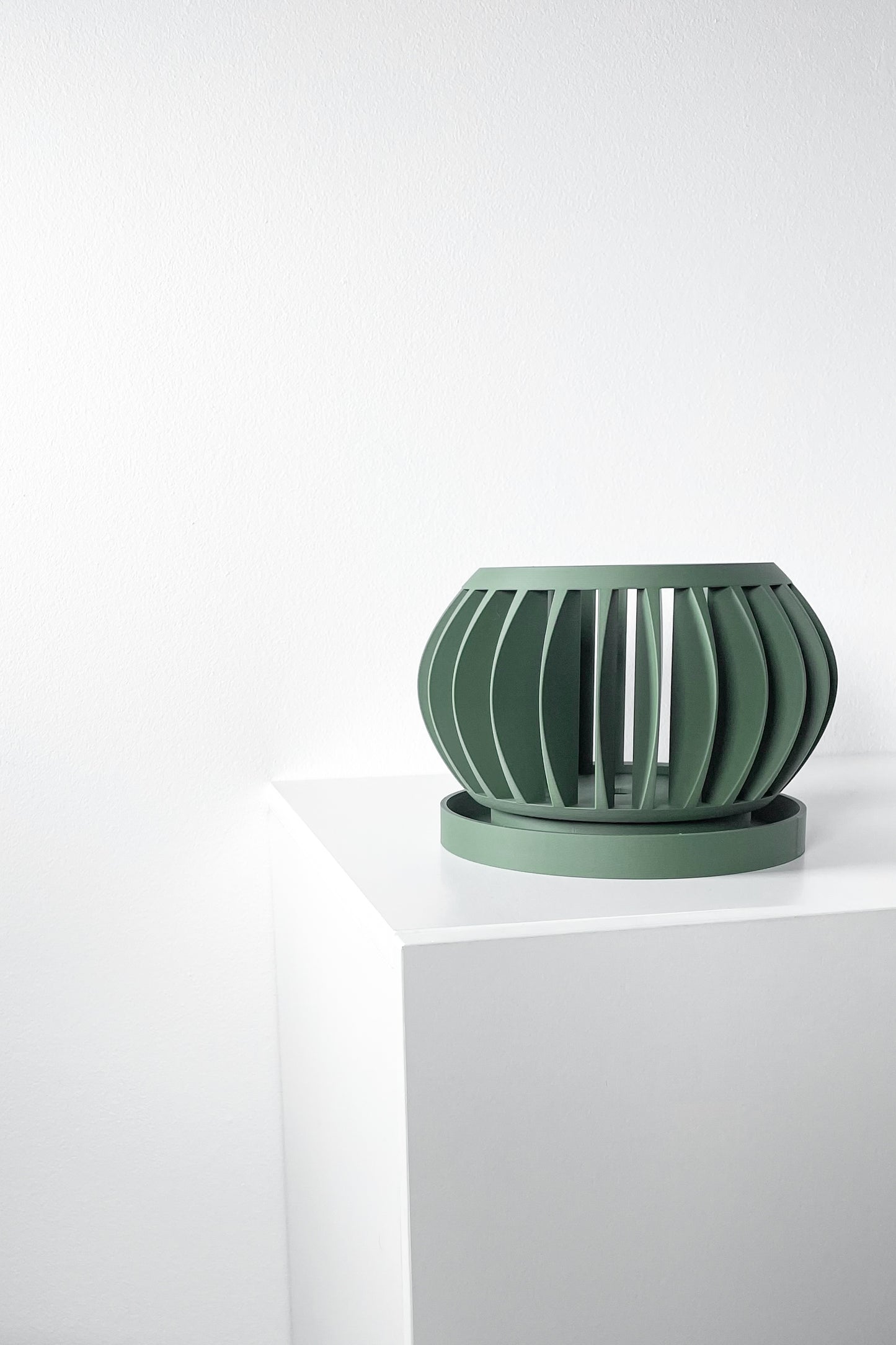 Orchid Planter The Rene