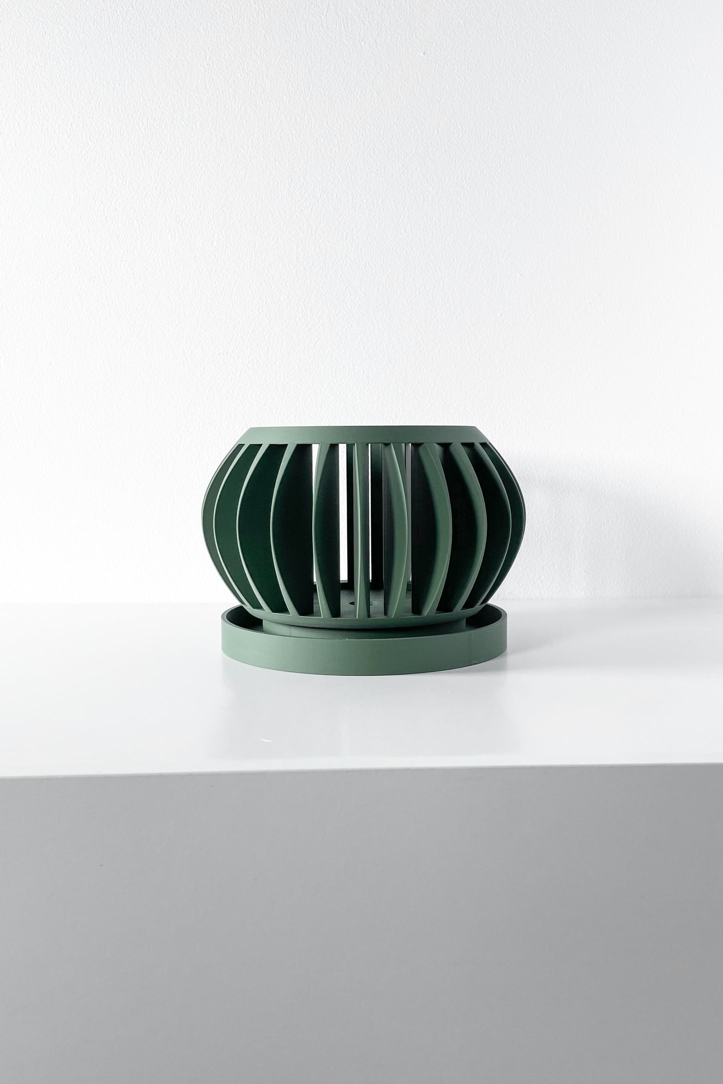 Orchid Planter The Rene