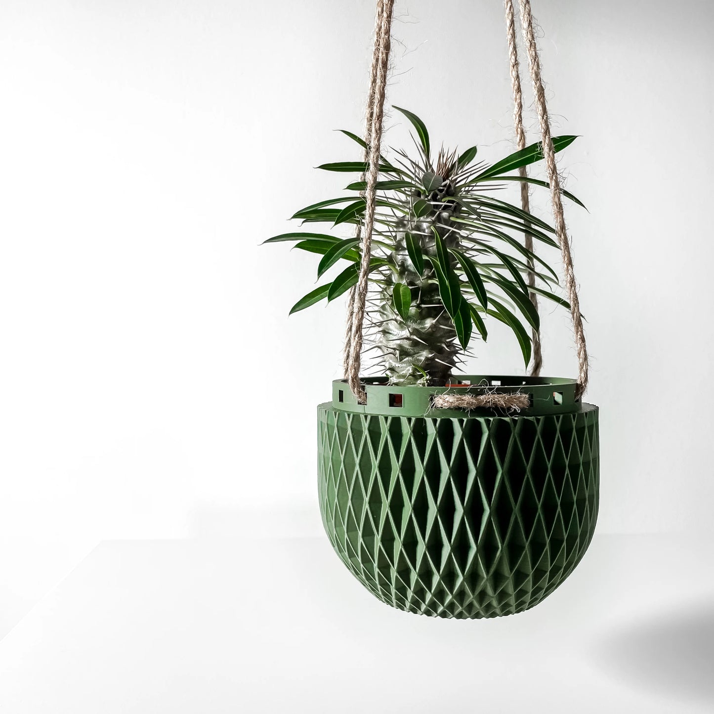 Hanging Planter The Dex