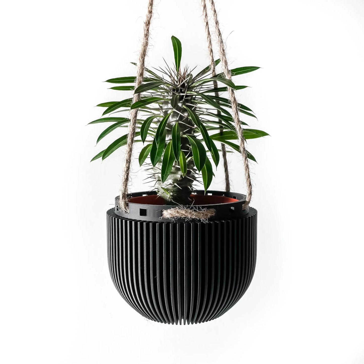 Hanging Planter The Jani