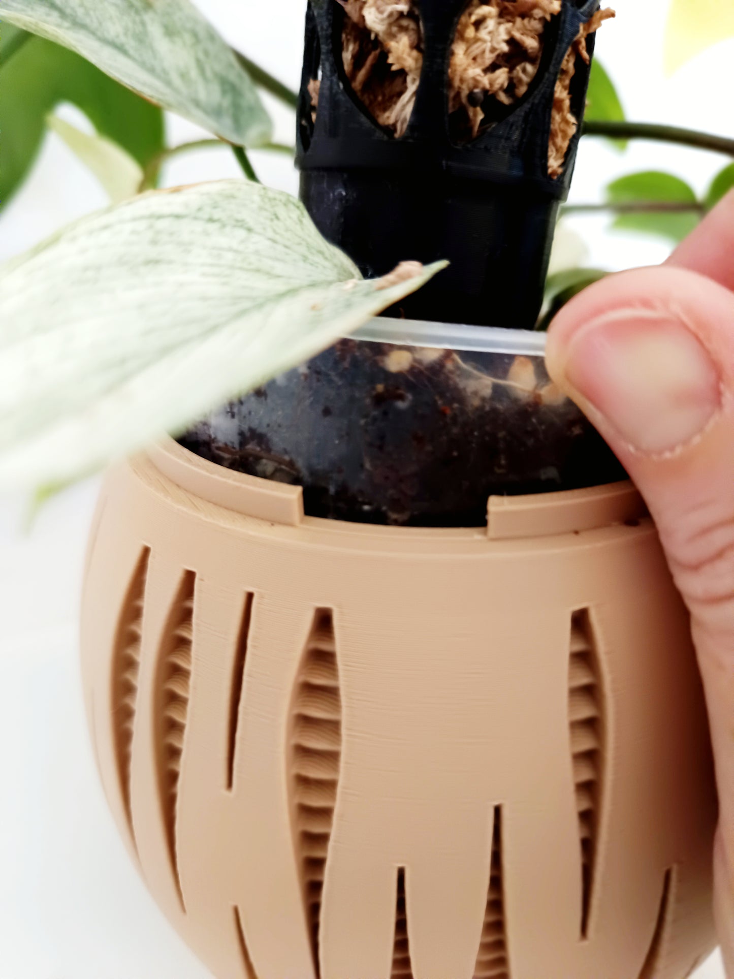 Matching Self Watering Planters Set