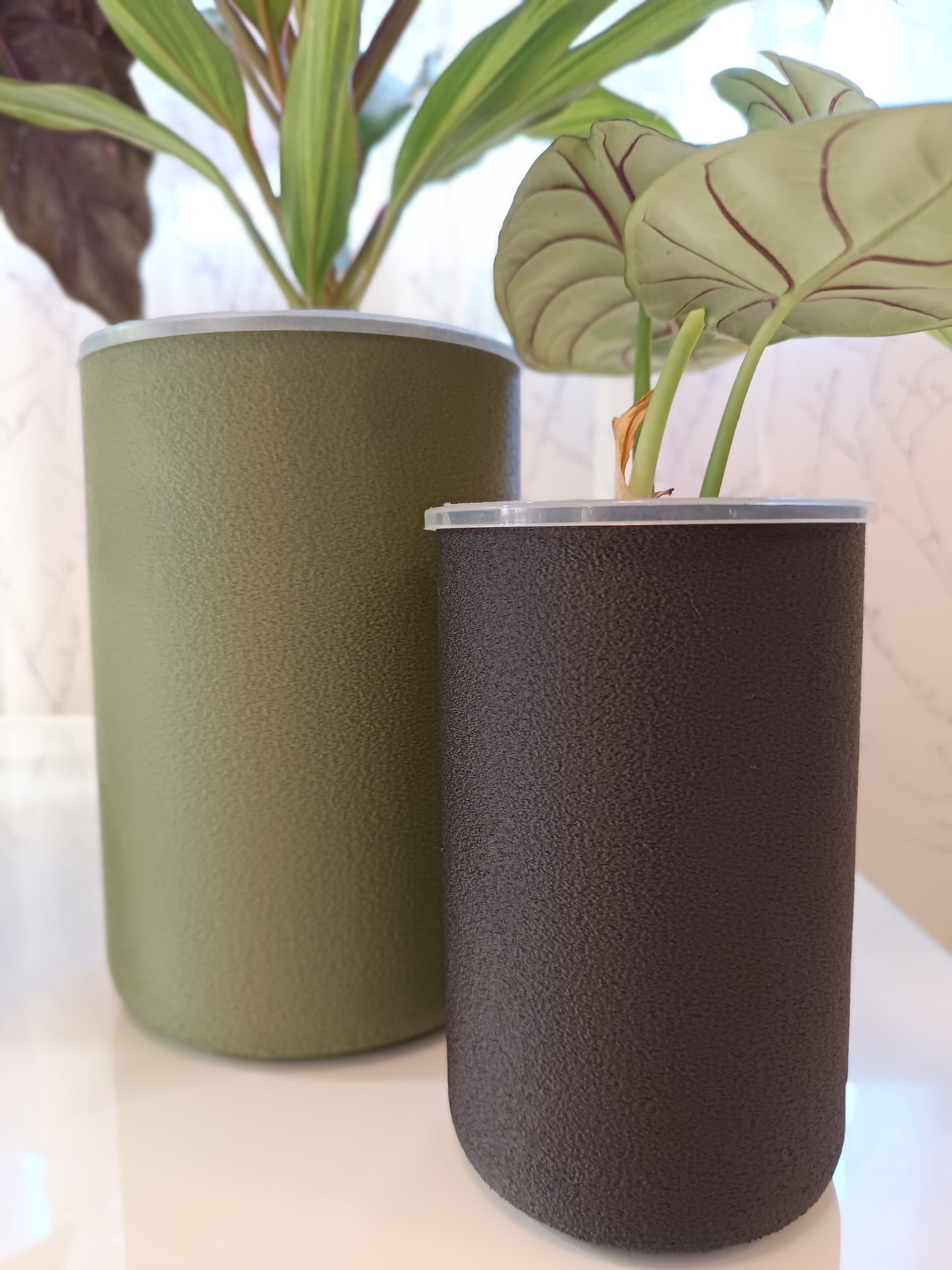 NestPot – Decorative Cage Cover for Aroid Nursery Pots