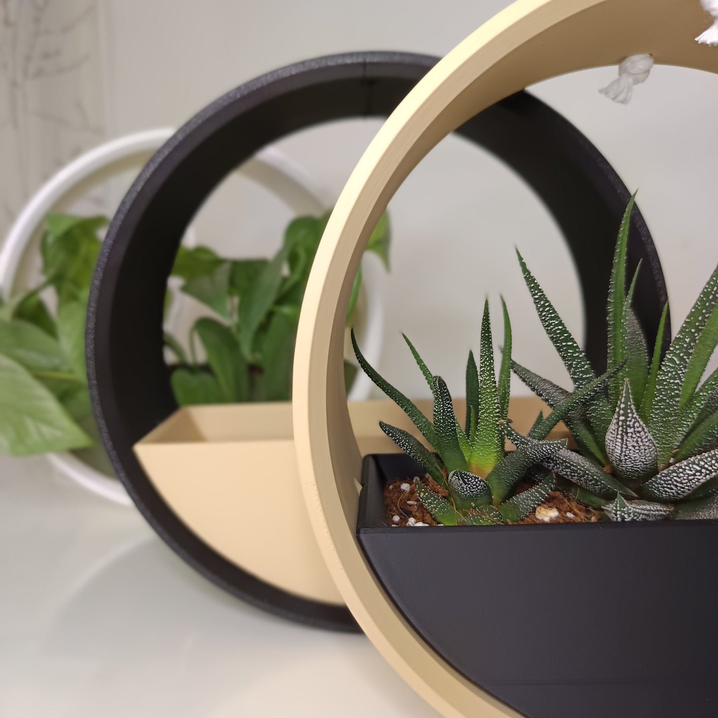 Hanging Planter The Ring