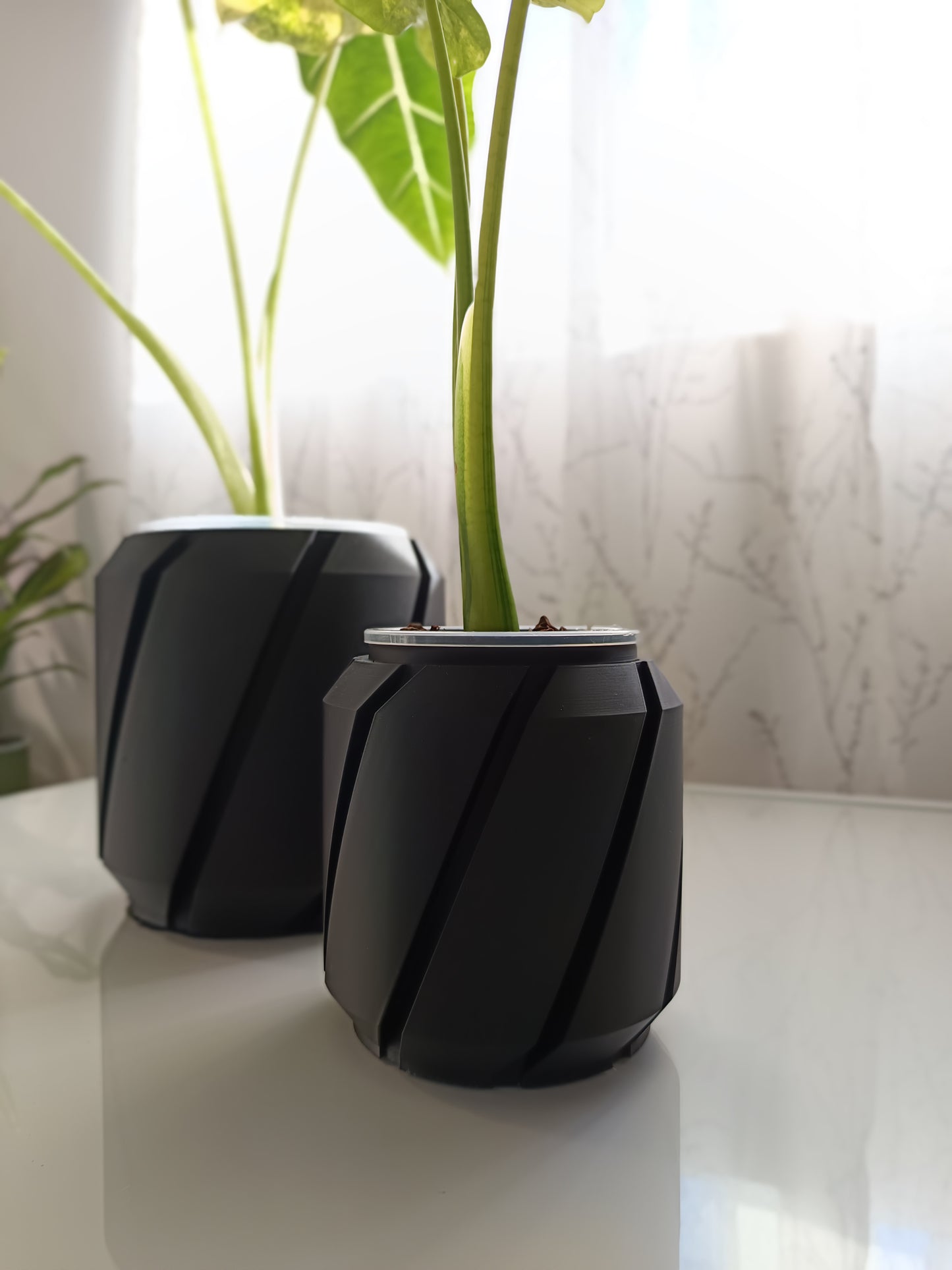 NestPot – Decorative Cage Cover for Aroid Nursery Pots