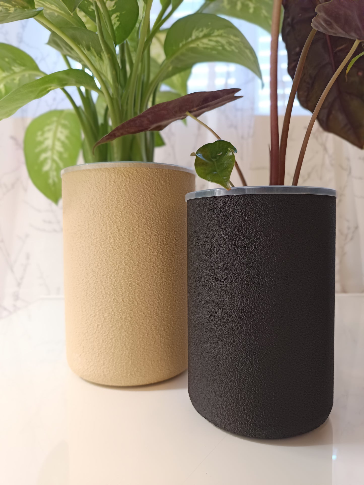 NestPot – Decorative Cage Cover for Aroid Nursery Pots