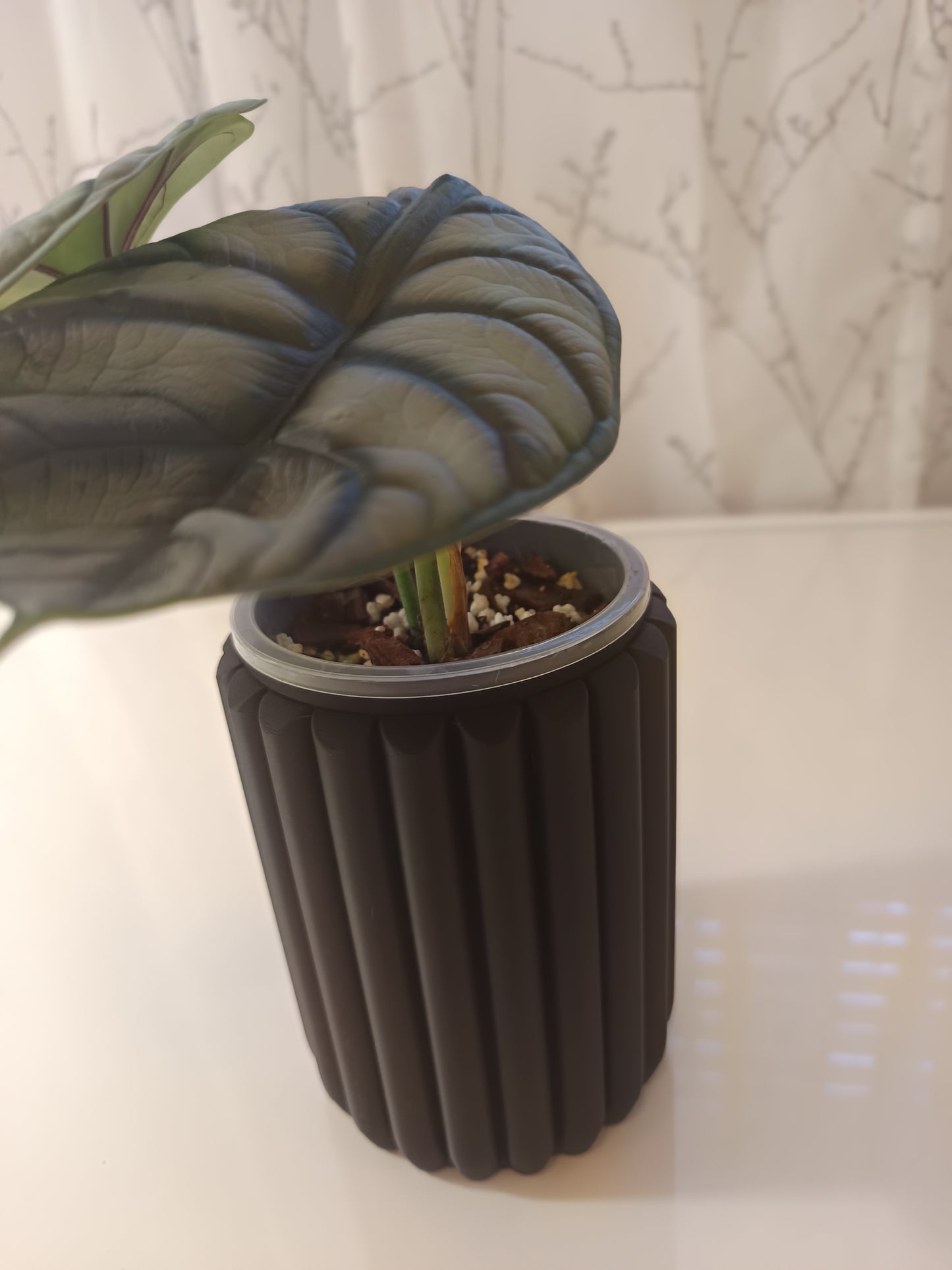 NestPot – Decorative Cage Cover for Aroid Nursery Pots