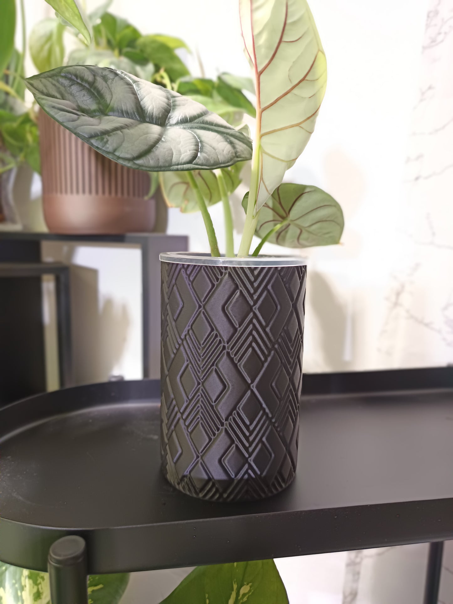 NestPot – Decorative Cage Cover for Aroid Nursery Pots