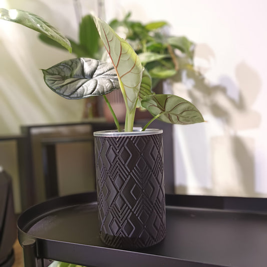 NestPot – Decorative Cage Cover for Aroid Nursery Pots