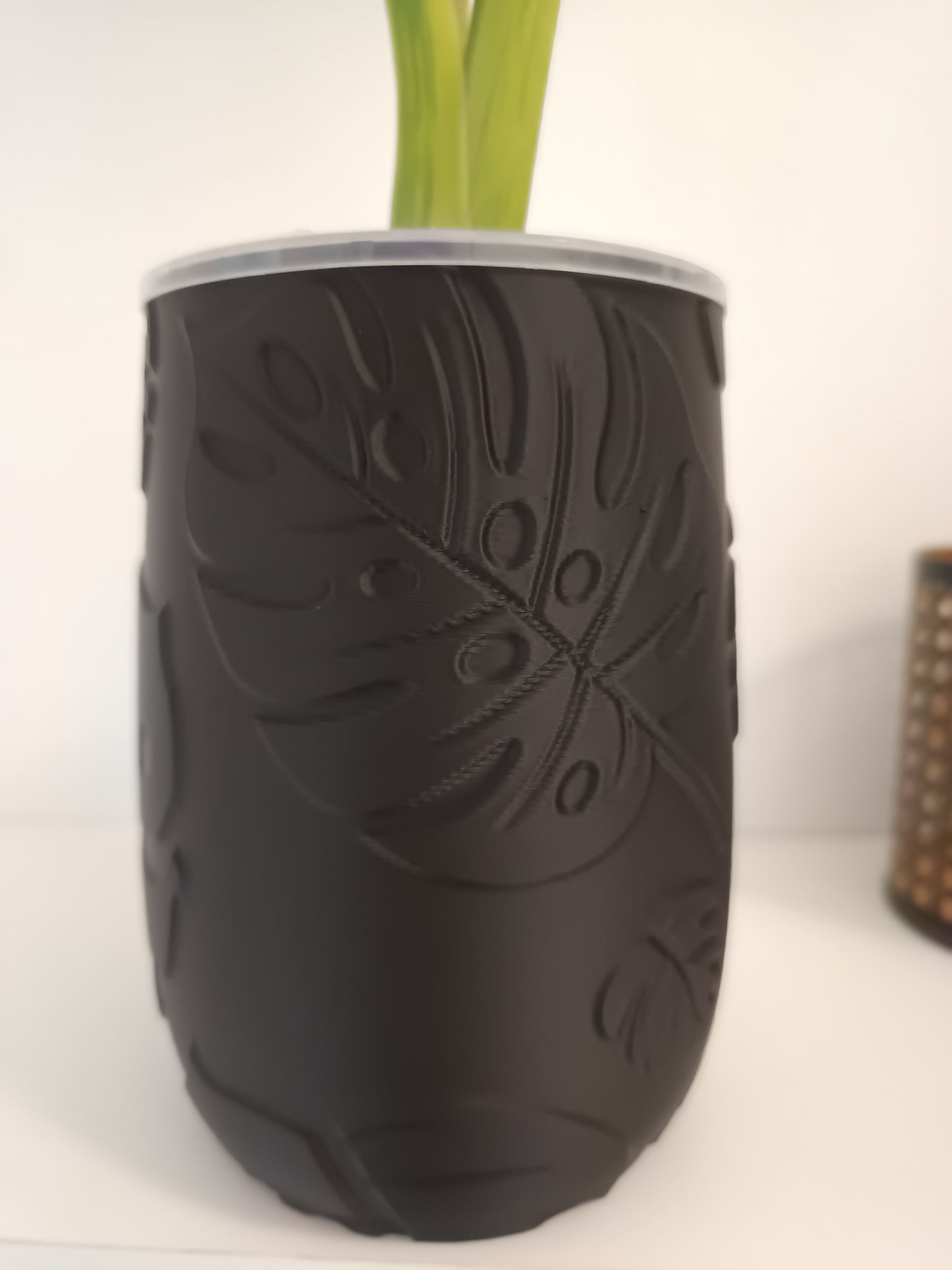 NestPot – Decorative Cage Cover for Aroid Nursery Pots