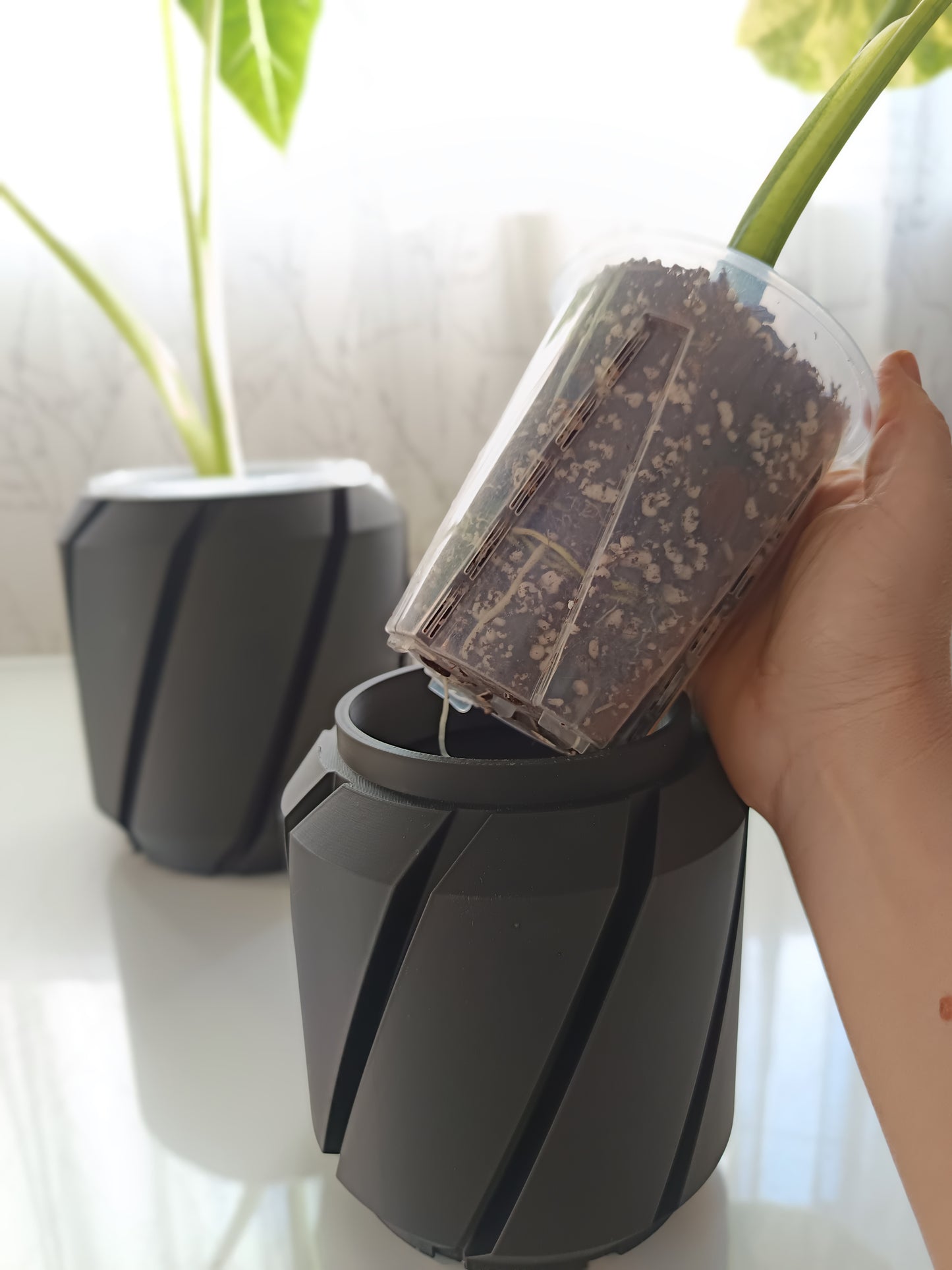 NestPot – Decorative Cage Cover for Aroid Nursery Pots