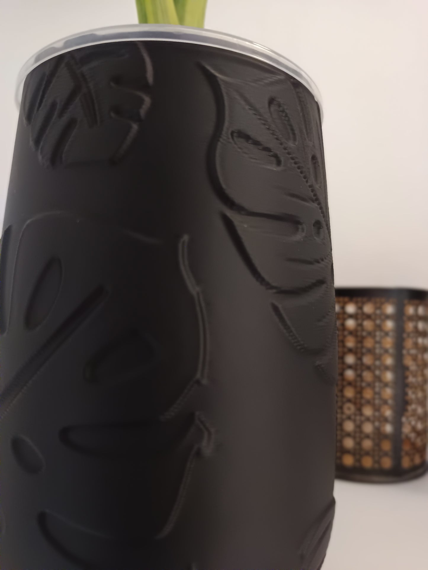 NestPot – Decorative Cage Cover for Aroid Nursery Pots