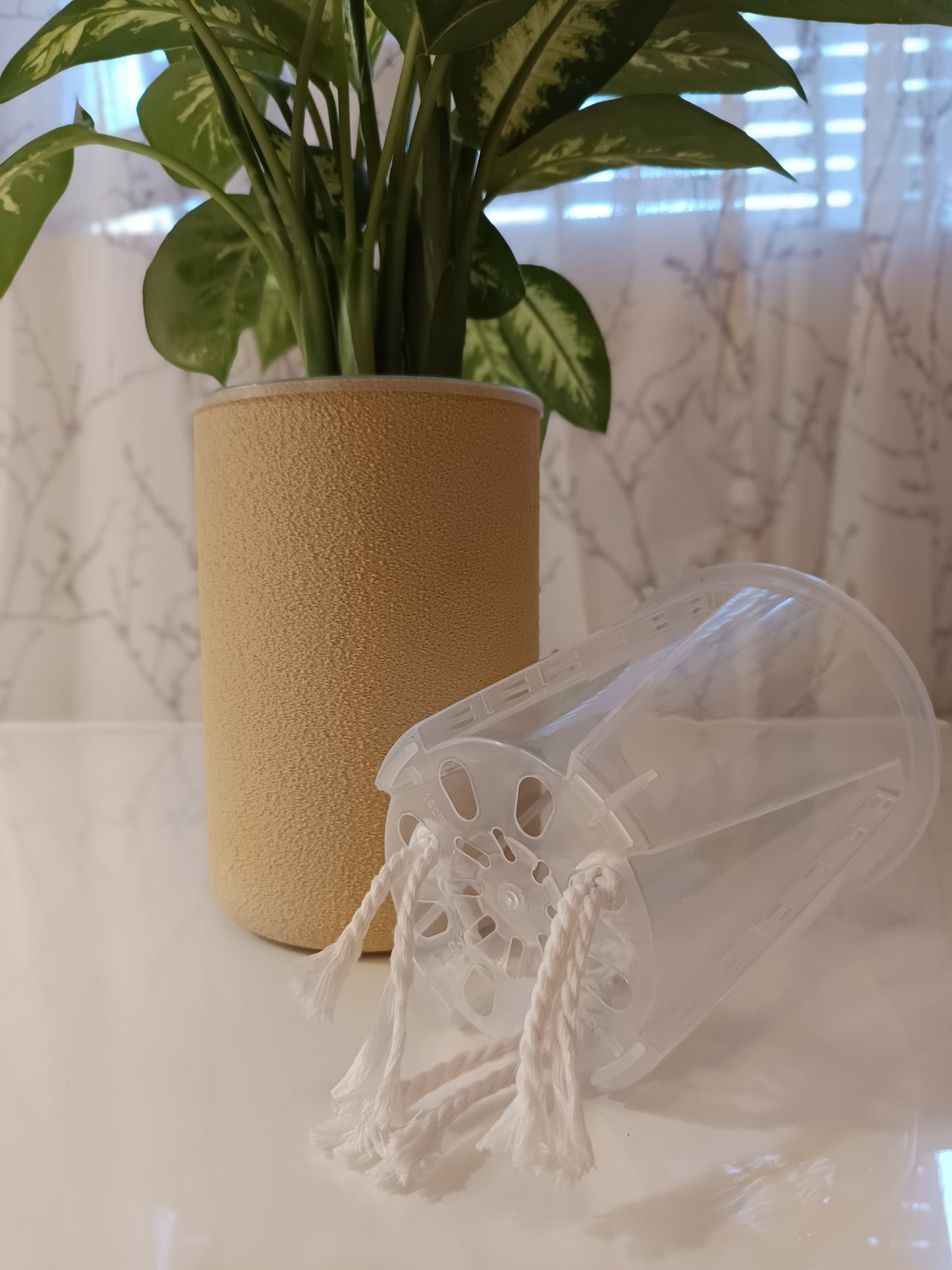 NestPot – Decorative Cage Cover for Aroid Nursery Pots