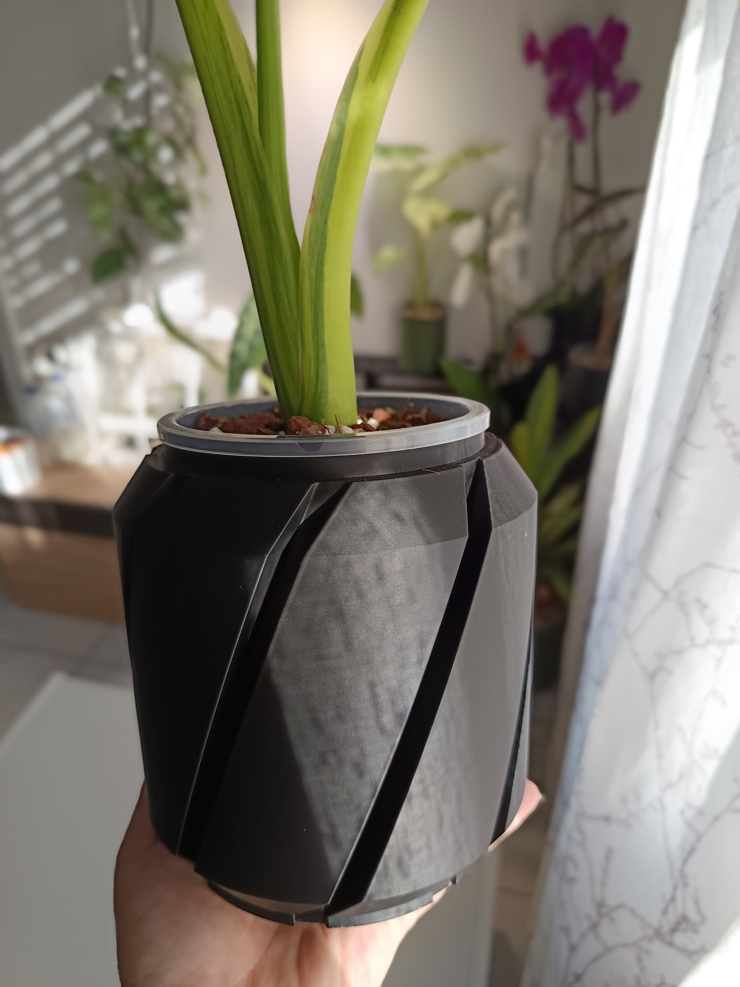 NestPot – Decorative Cage Cover for Aroid Nursery Pots