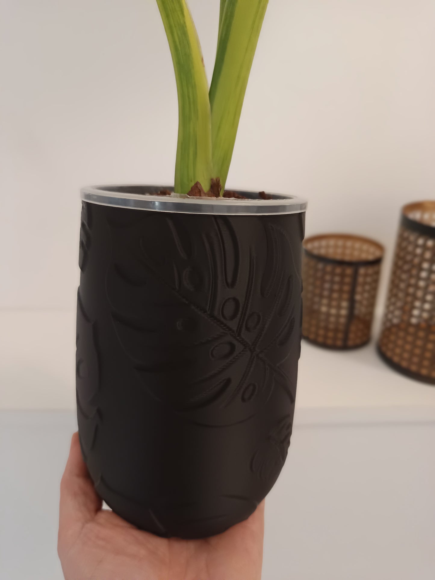 NestPot – Decorative Cage Cover for Aroid Nursery Pots