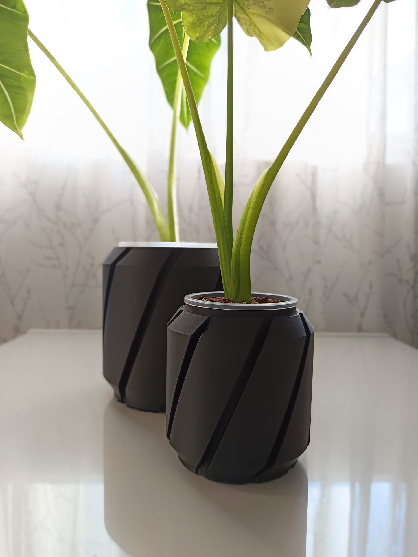 NestPot – Decorative Cage Cover for Aroid Nursery Pots