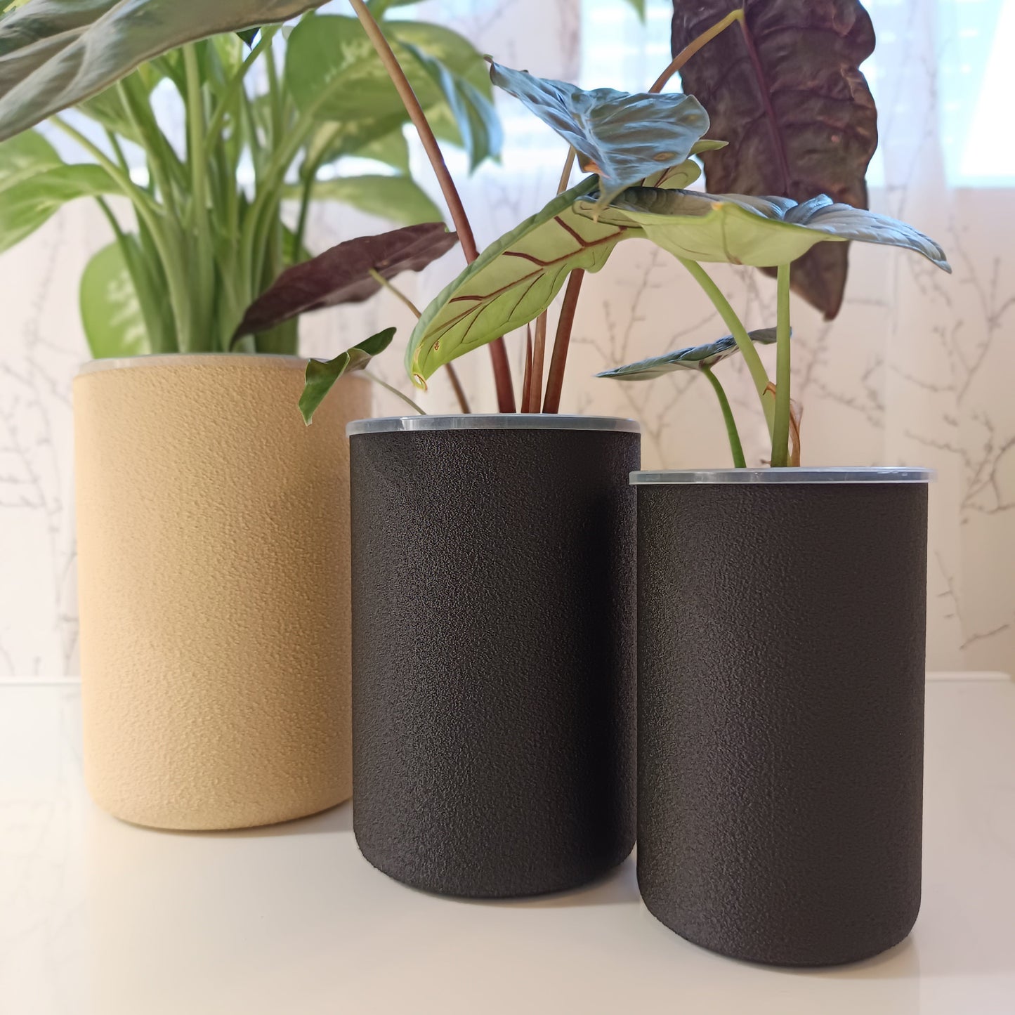 NestPot – Decorative Cage Cover for Aroid Nursery Pots