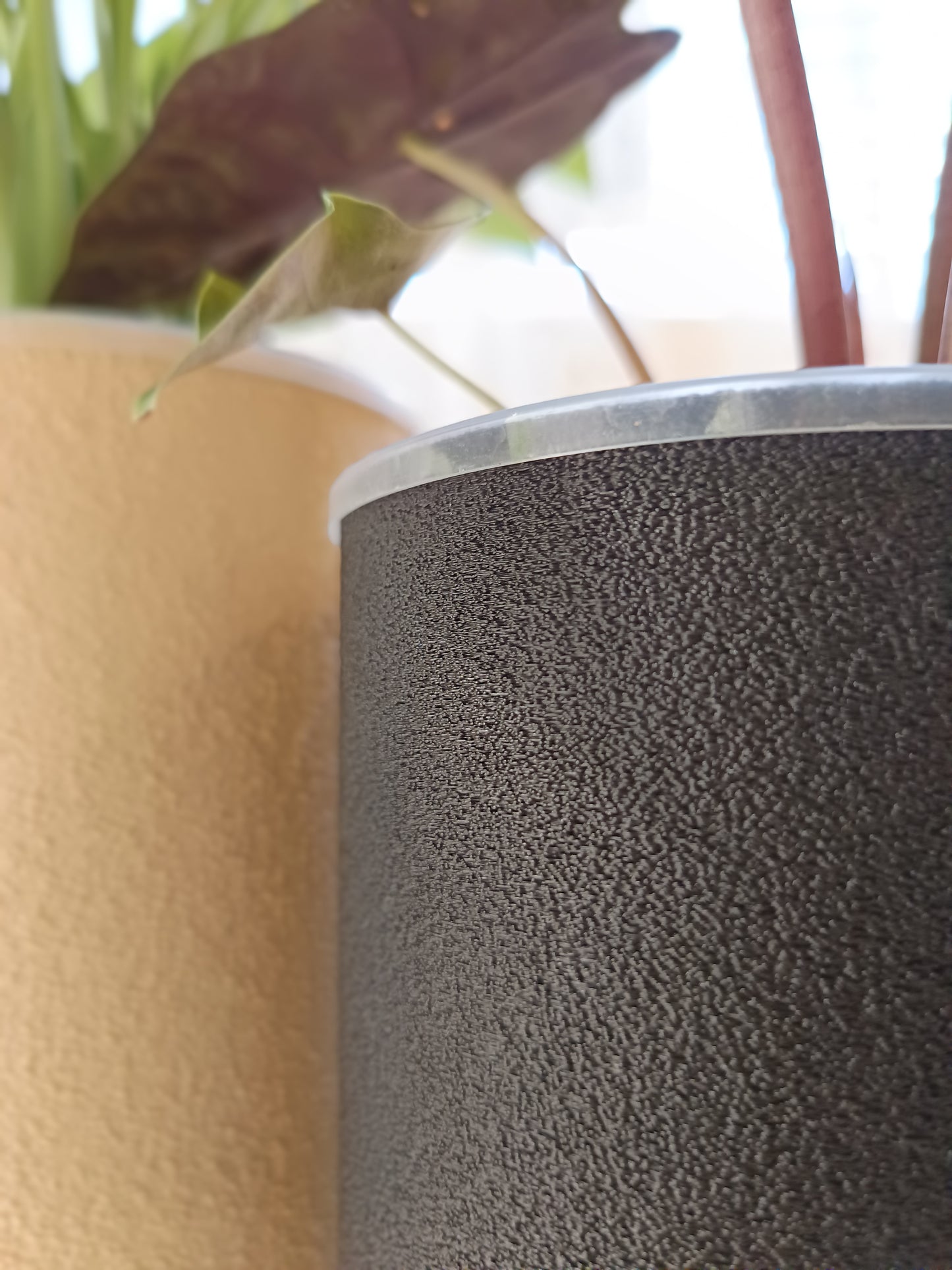 NestPot – Decorative Cage Cover for Aroid Nursery Pots