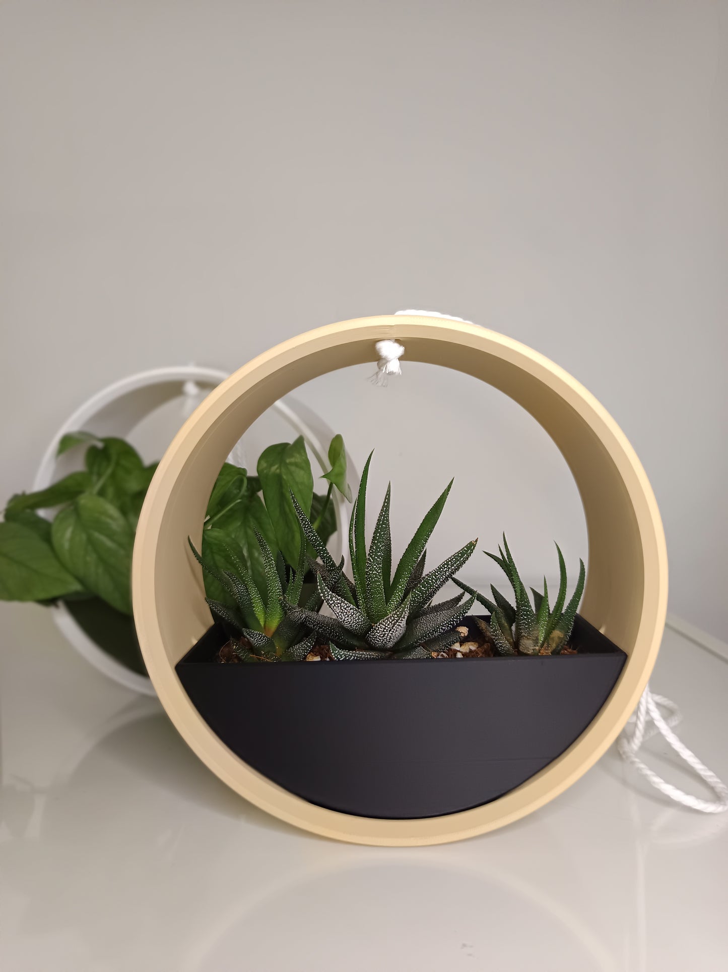 Hanging Planter The Ring
