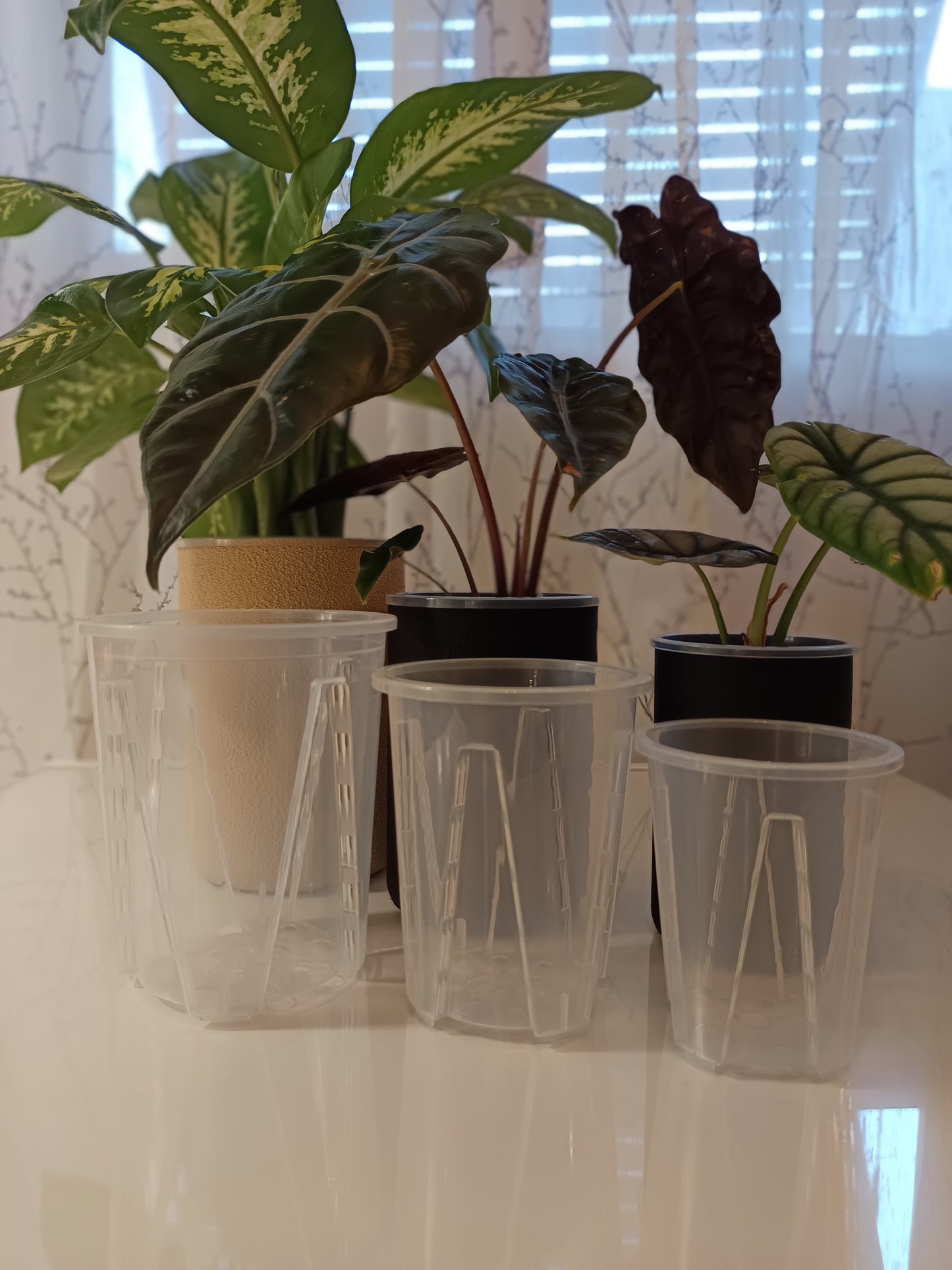 NestPot – Decorative Cage Cover for Aroid Nursery Pots