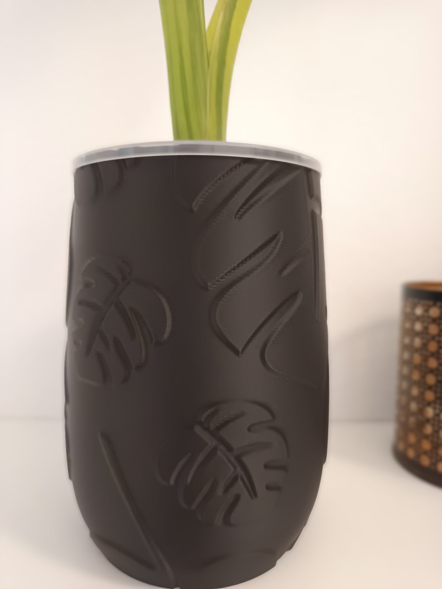 NestPot – Decorative Cage Cover for Aroid Nursery Pots