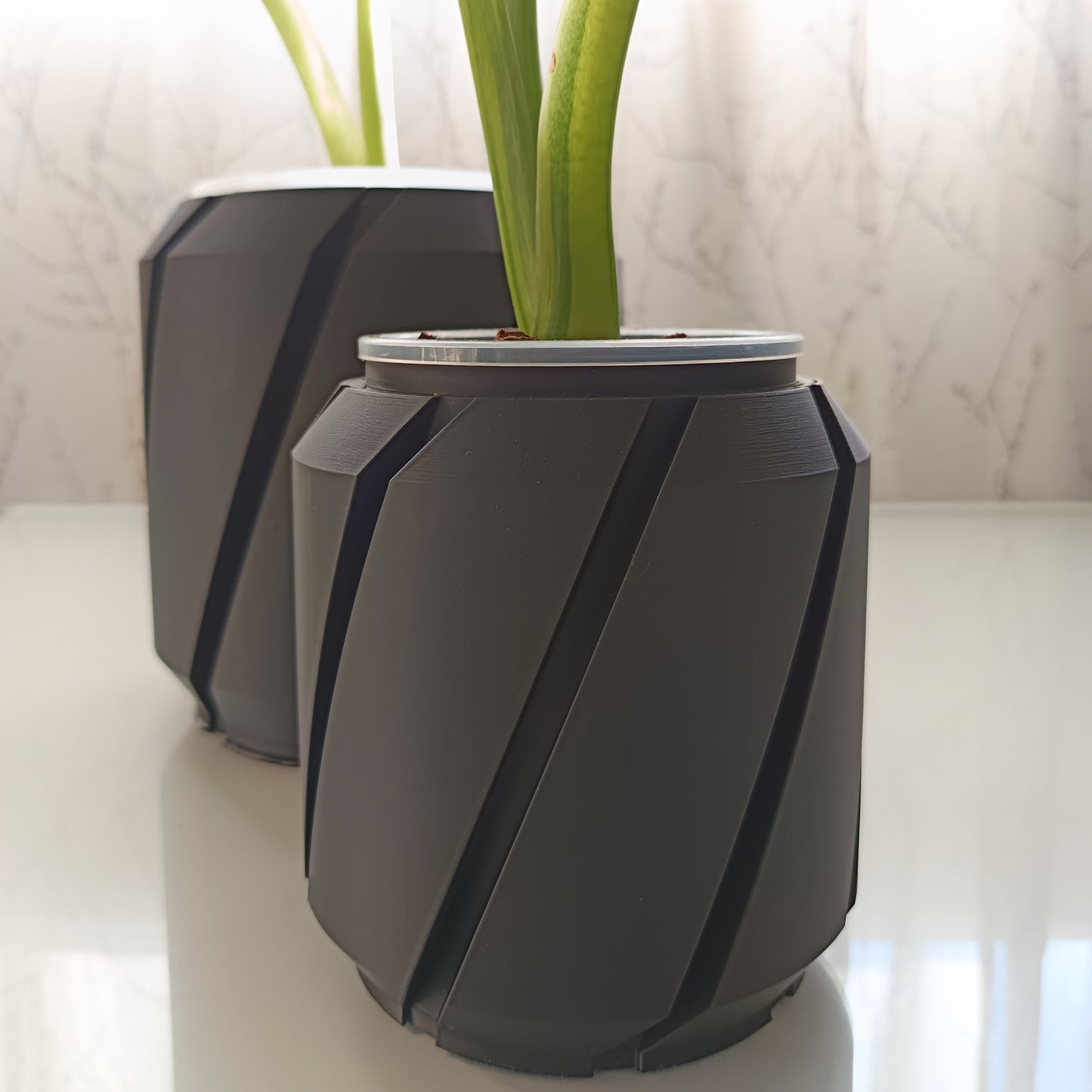 NestPot – Decorative Cage Cover for Aroid Nursery Pots