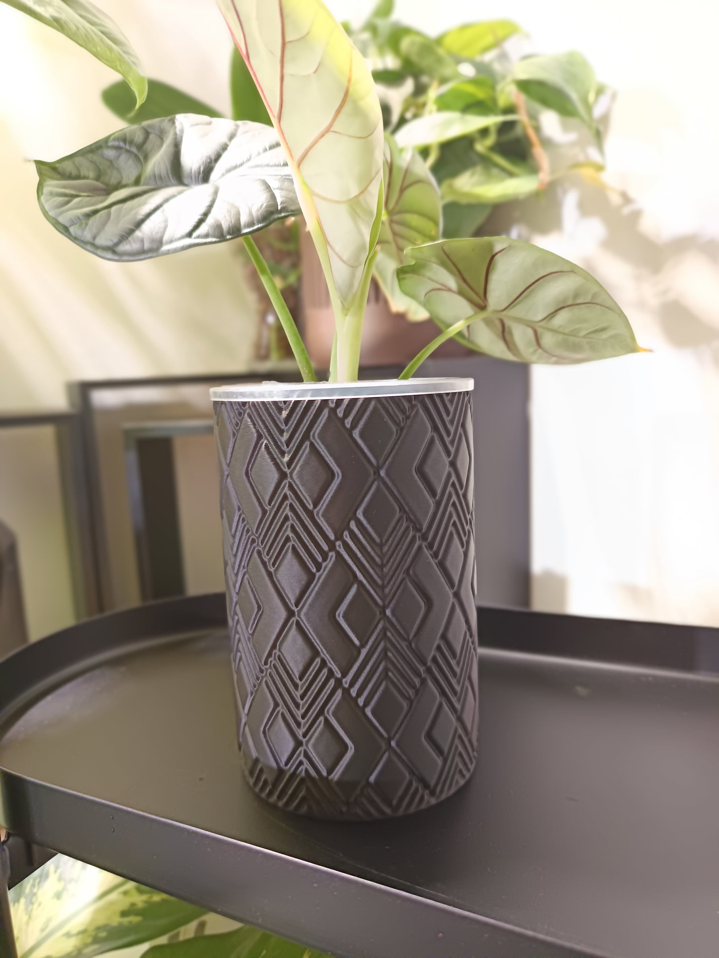 NestPot – Decorative Cage Cover for Aroid Nursery Pots