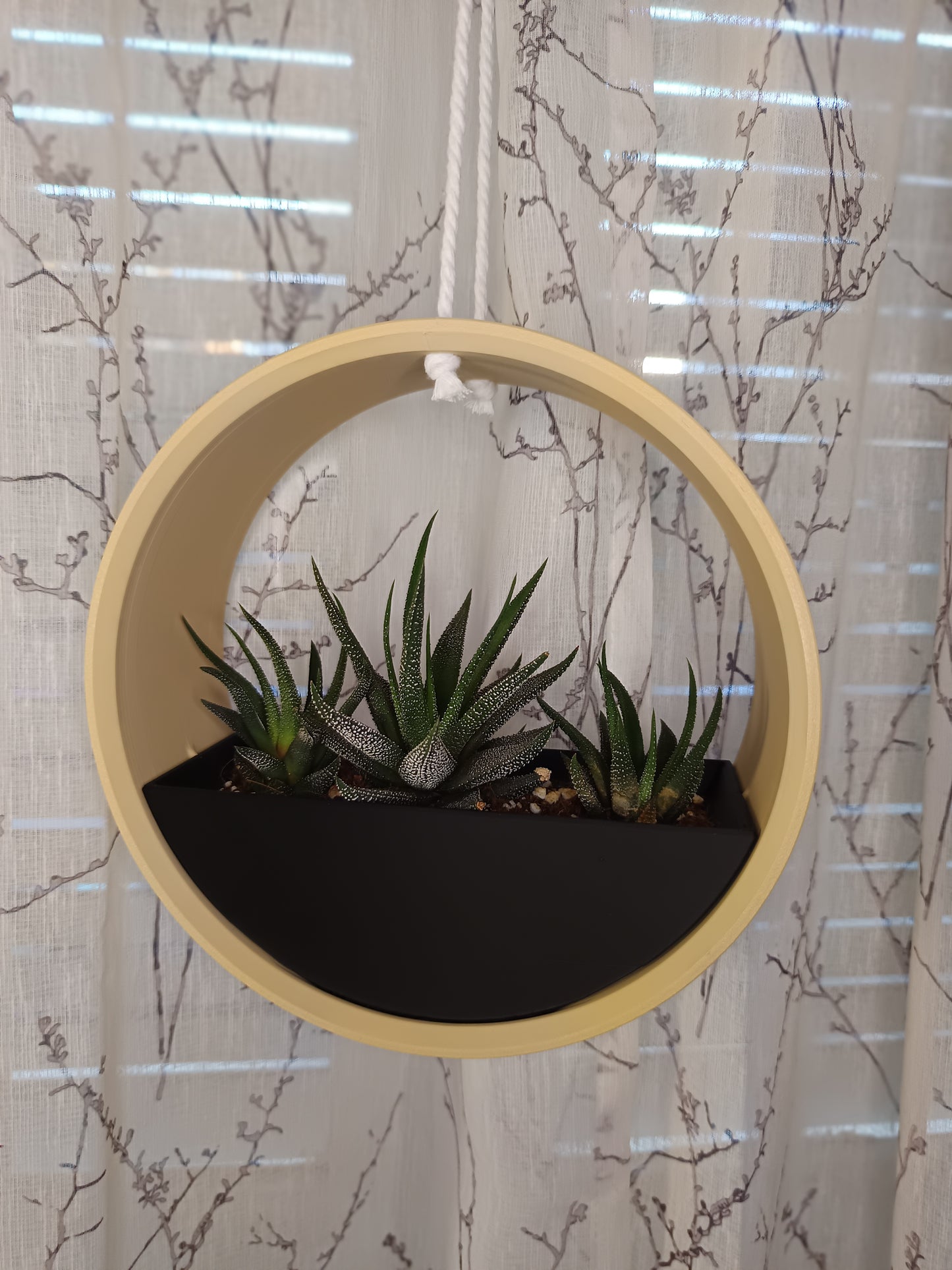 Hanging Planter The Ring