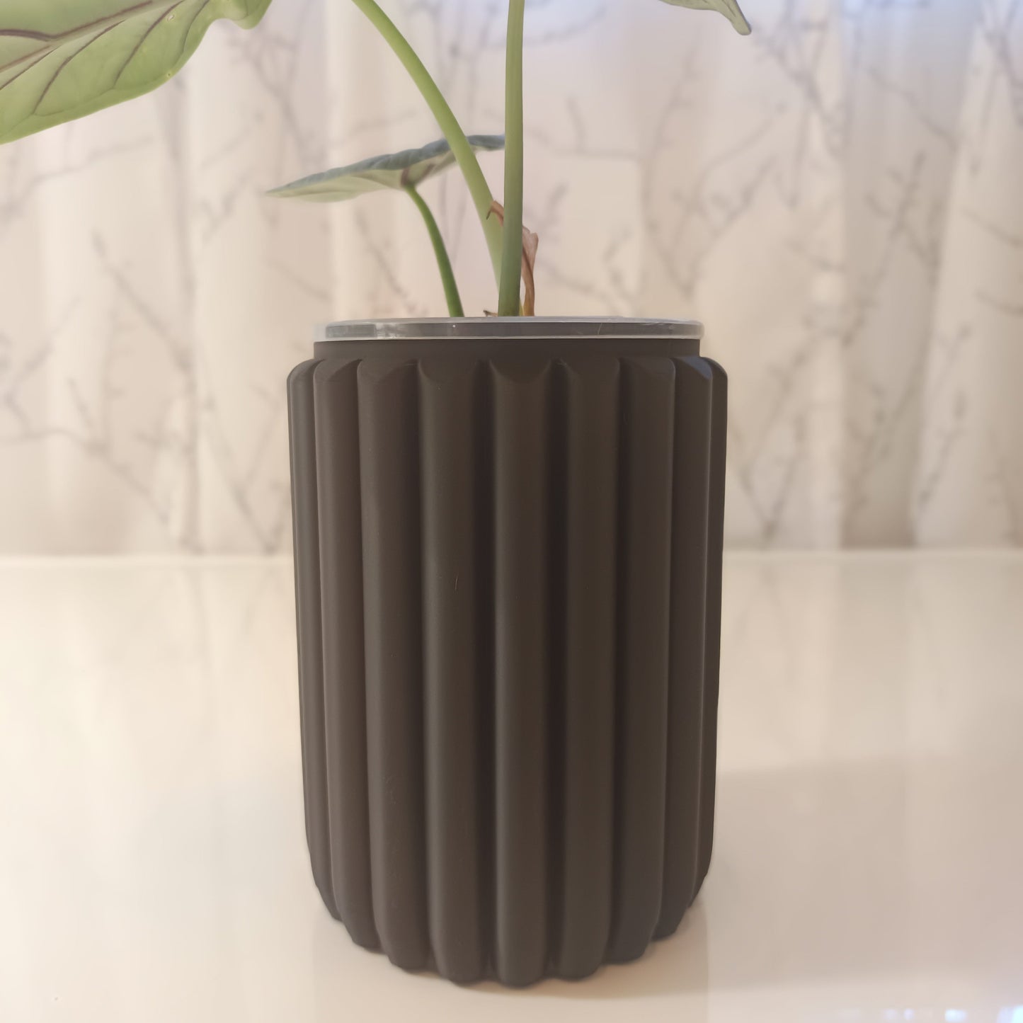 NestPot – Decorative Cage Cover for Aroid Nursery Pots