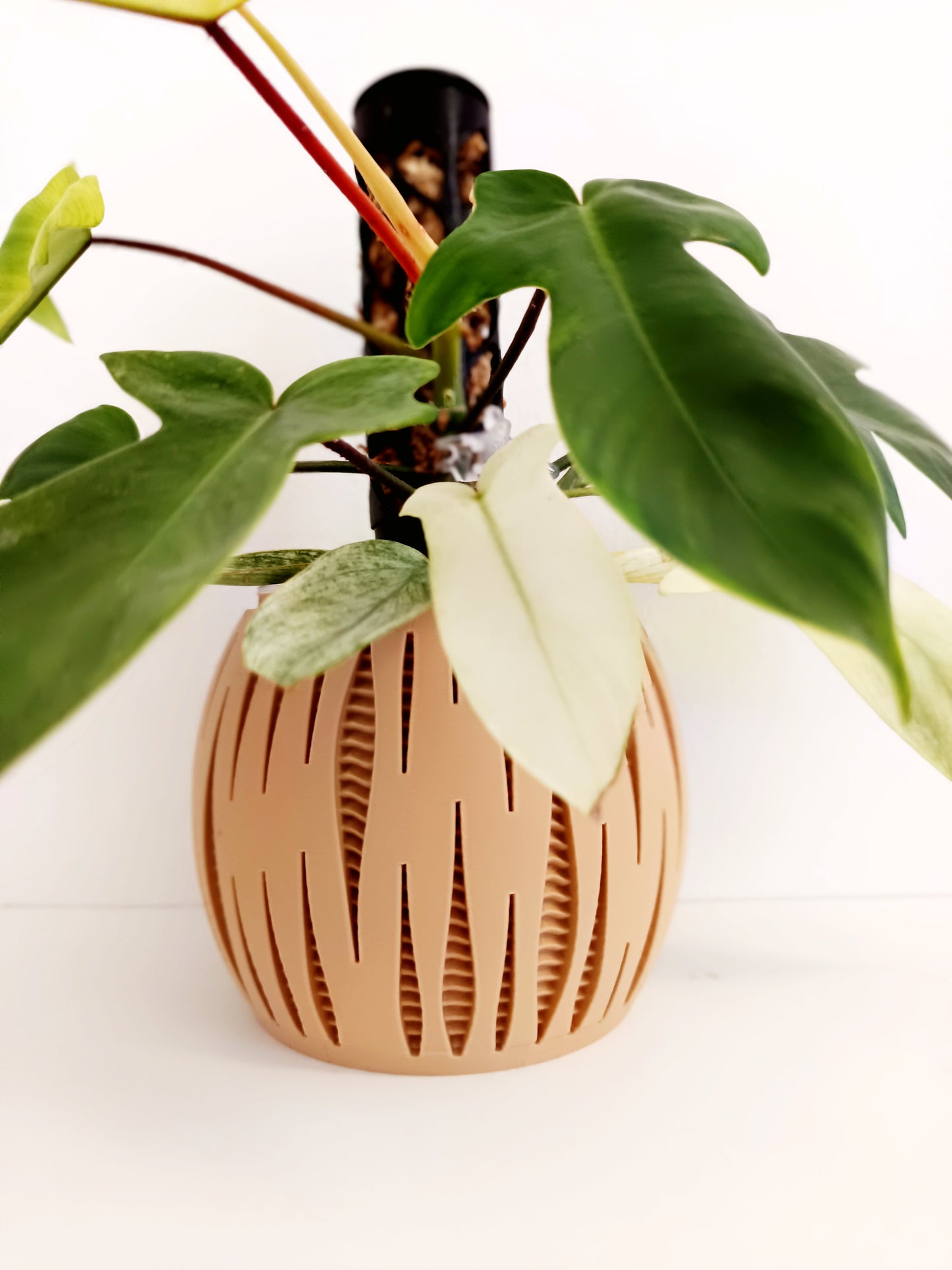 Matching Self Watering Planters Set