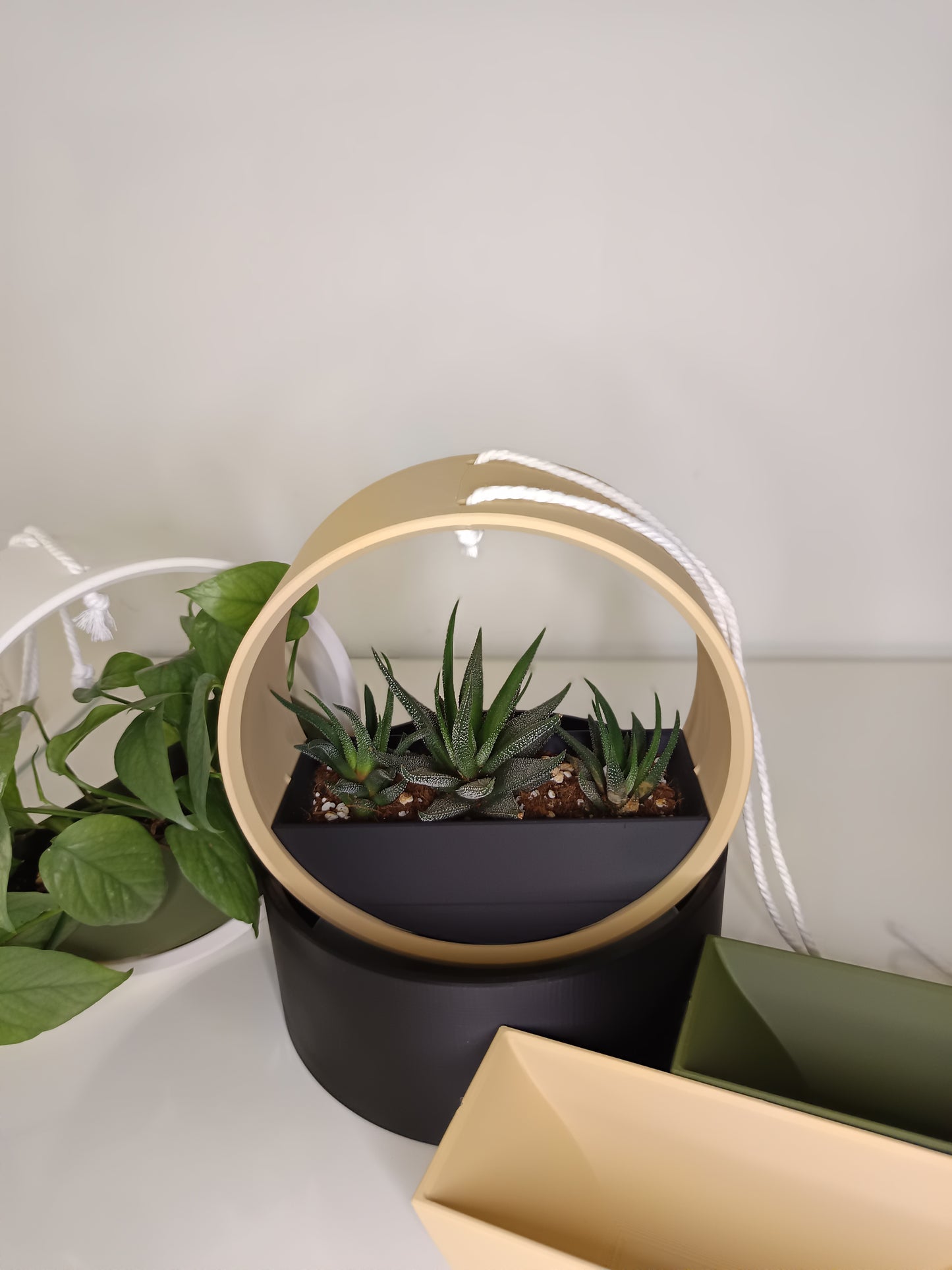 Hanging Planter The Ring