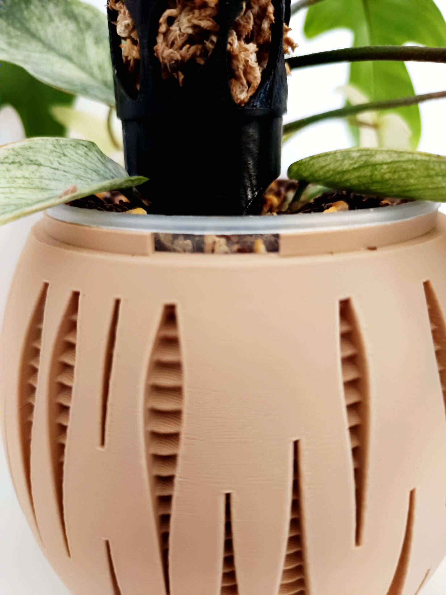 Matching Self Watering Planters Set