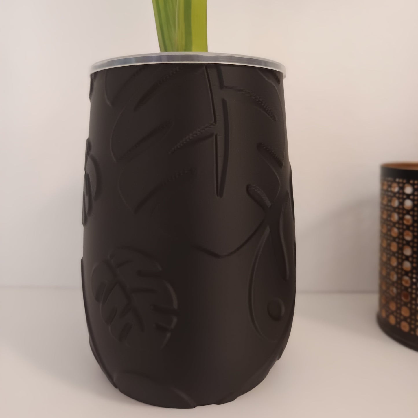 NestPot – Decorative Cage Cover for Aroid Nursery Pots