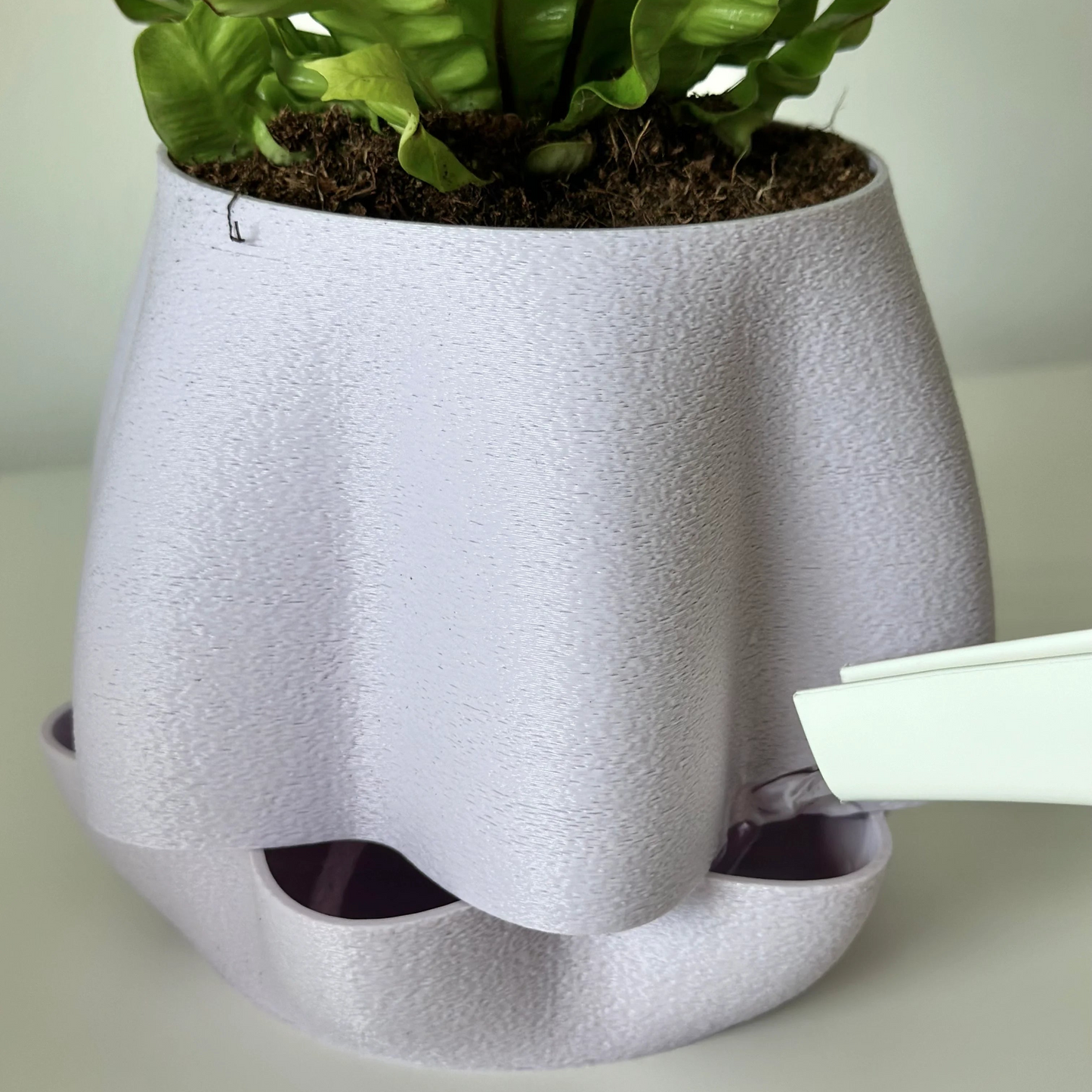 Self watering planter Asteri